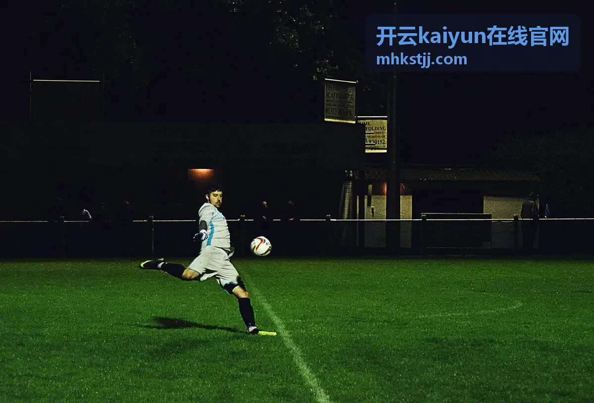 开云kaiyun在线官网定制需求评估流程示意
